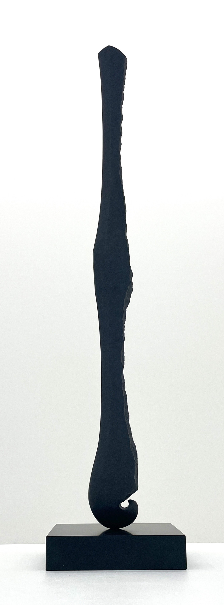 Transmigration series “Edaware”