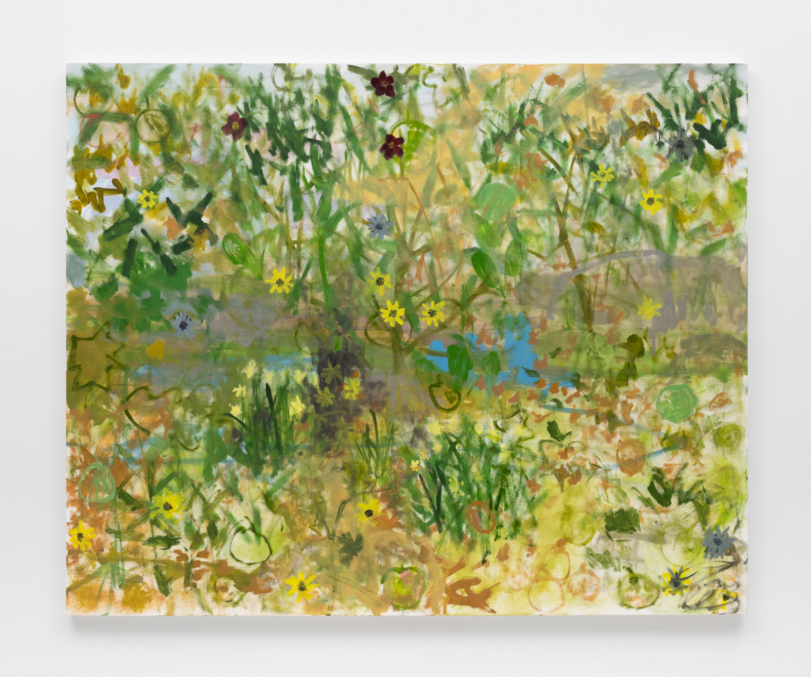 Fall 2023 (With Late Summer Wildflowers 2)