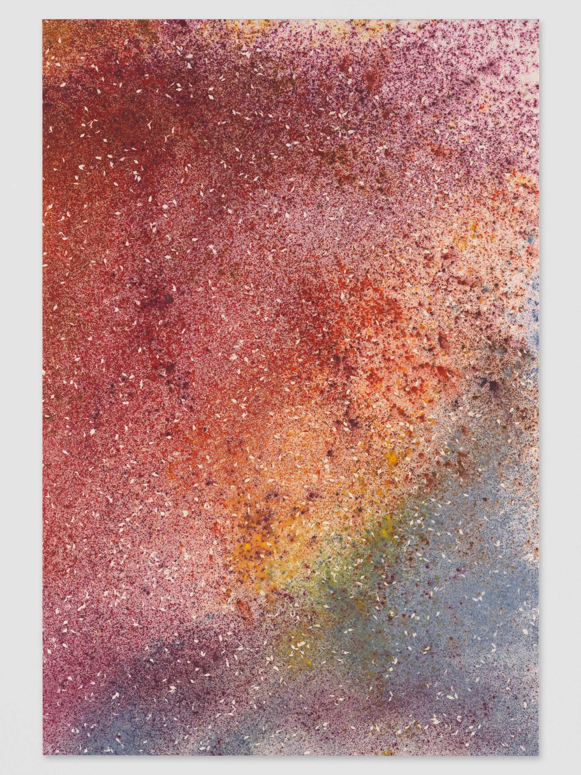 Untitled (Sarvisalo, Finland, Apple Blossom Petals 9)