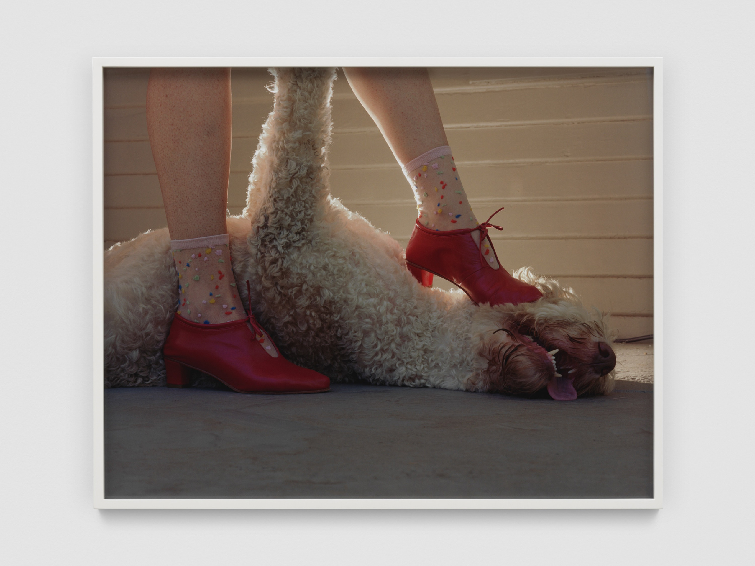 Submissive Companion