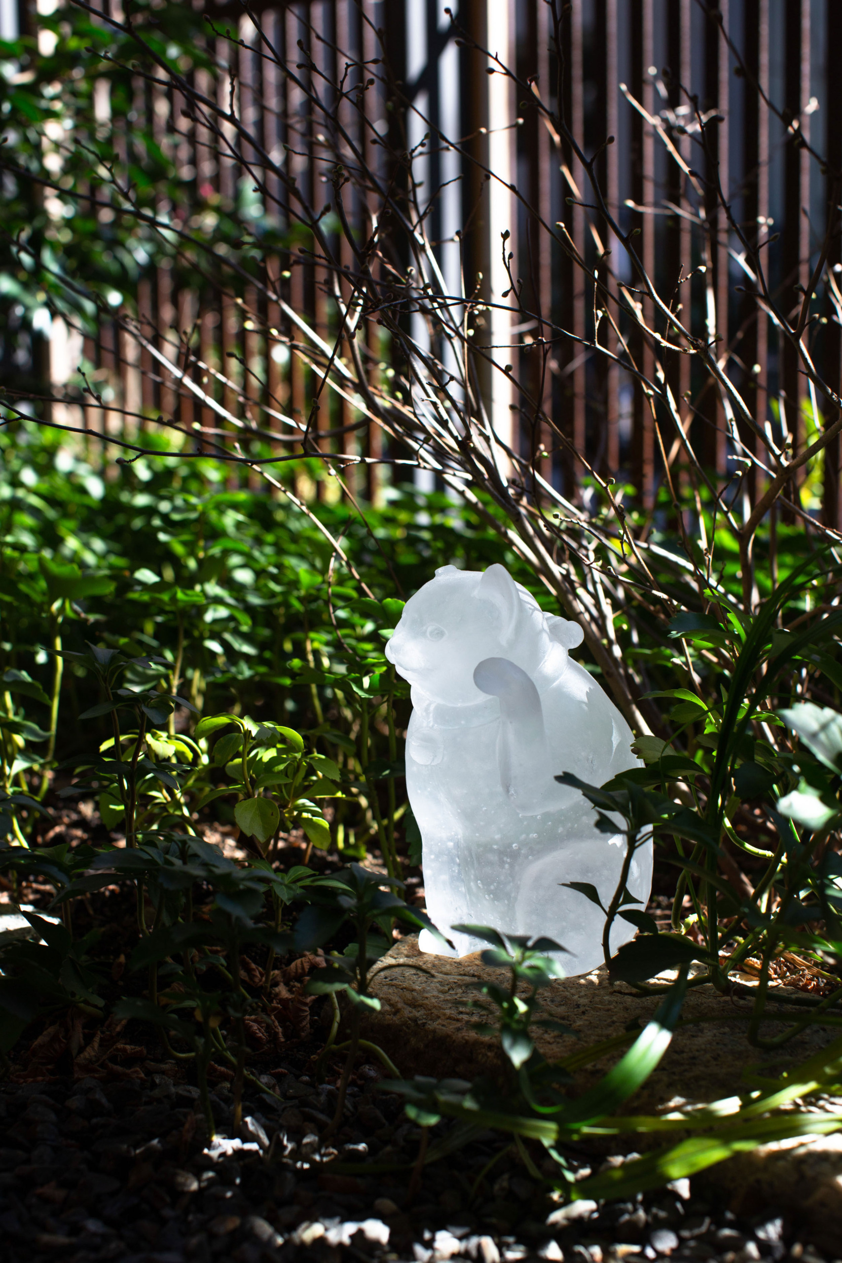 valley of sleeping sea -cat-