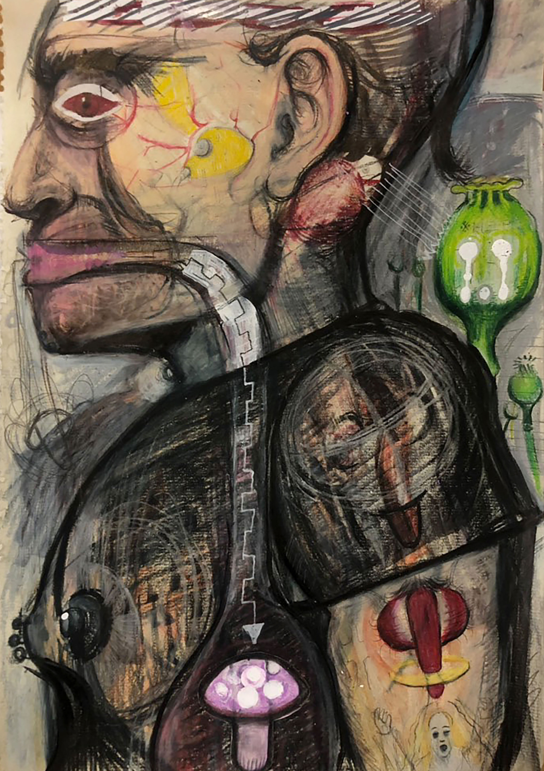 Poisoning and Pain Relief (Opium Poppies and The Man Who Ate Poisonous Mushroom)