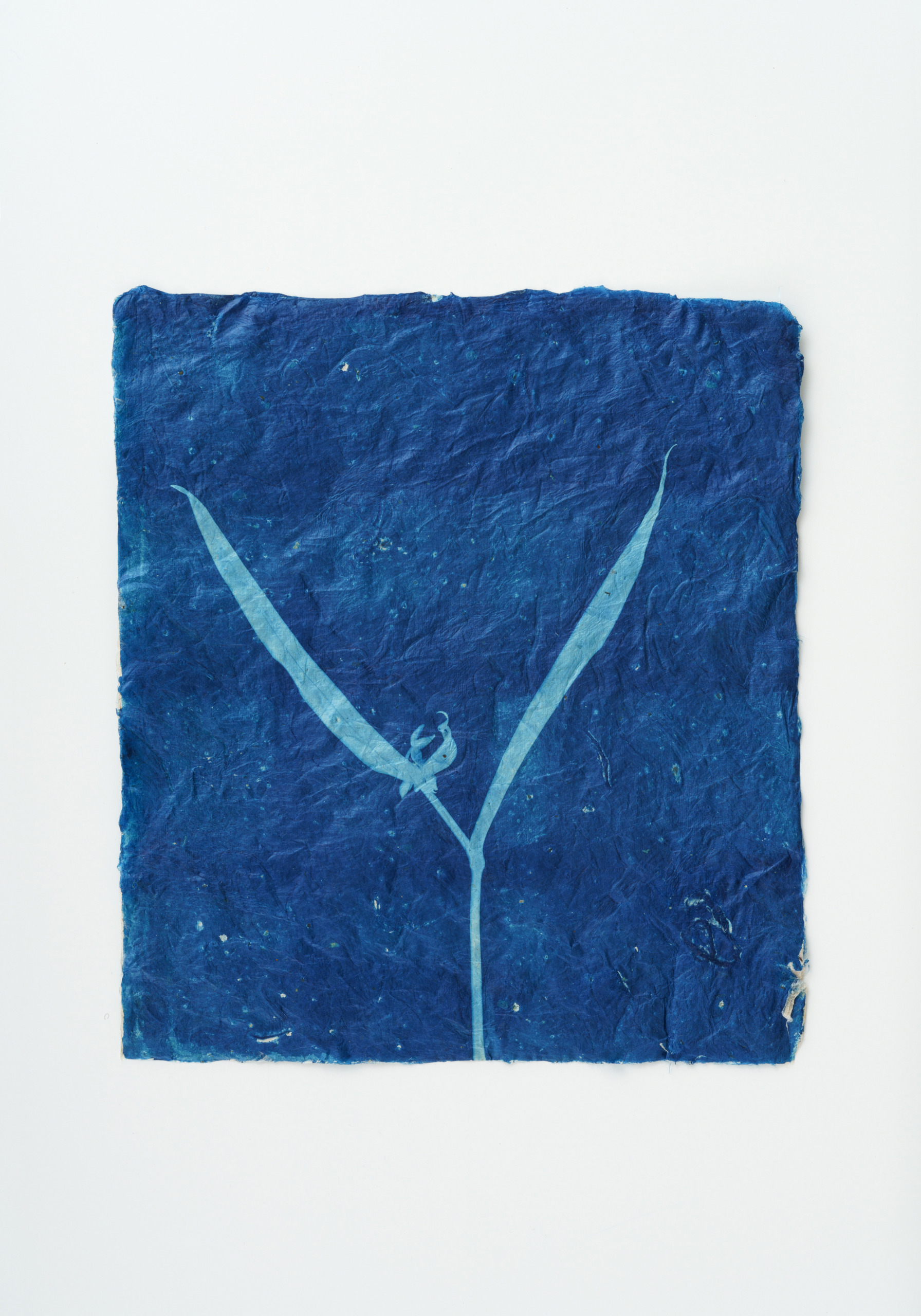 Time Ticked by the Flowers