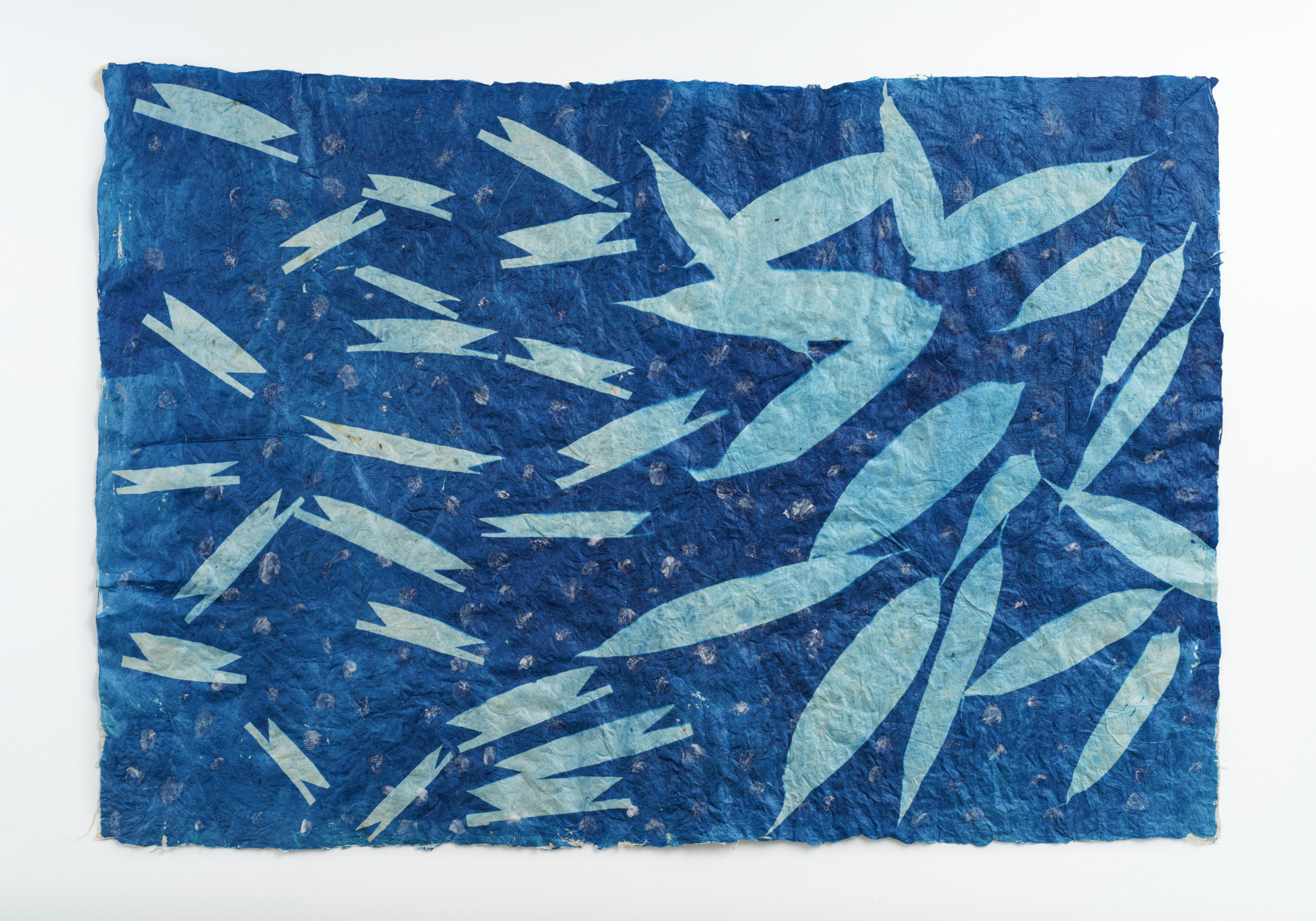 Bamboo boats in the Water _1