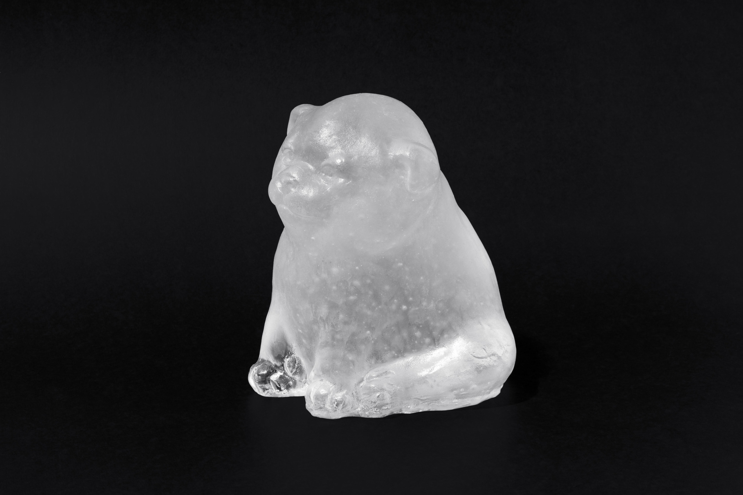 くぼみに眠る海 -仔犬-