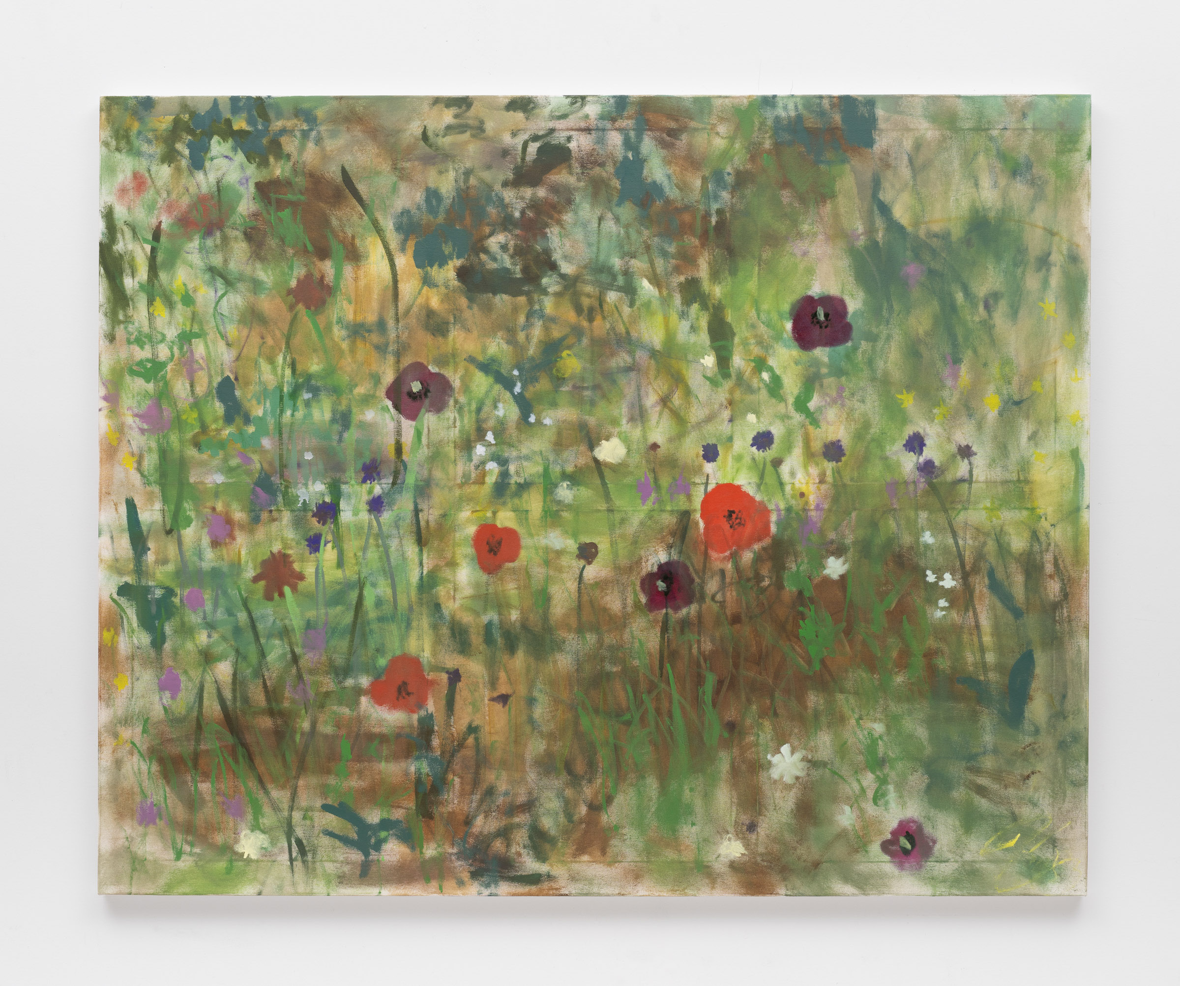 Summer 2023 (Wildflowers 2)