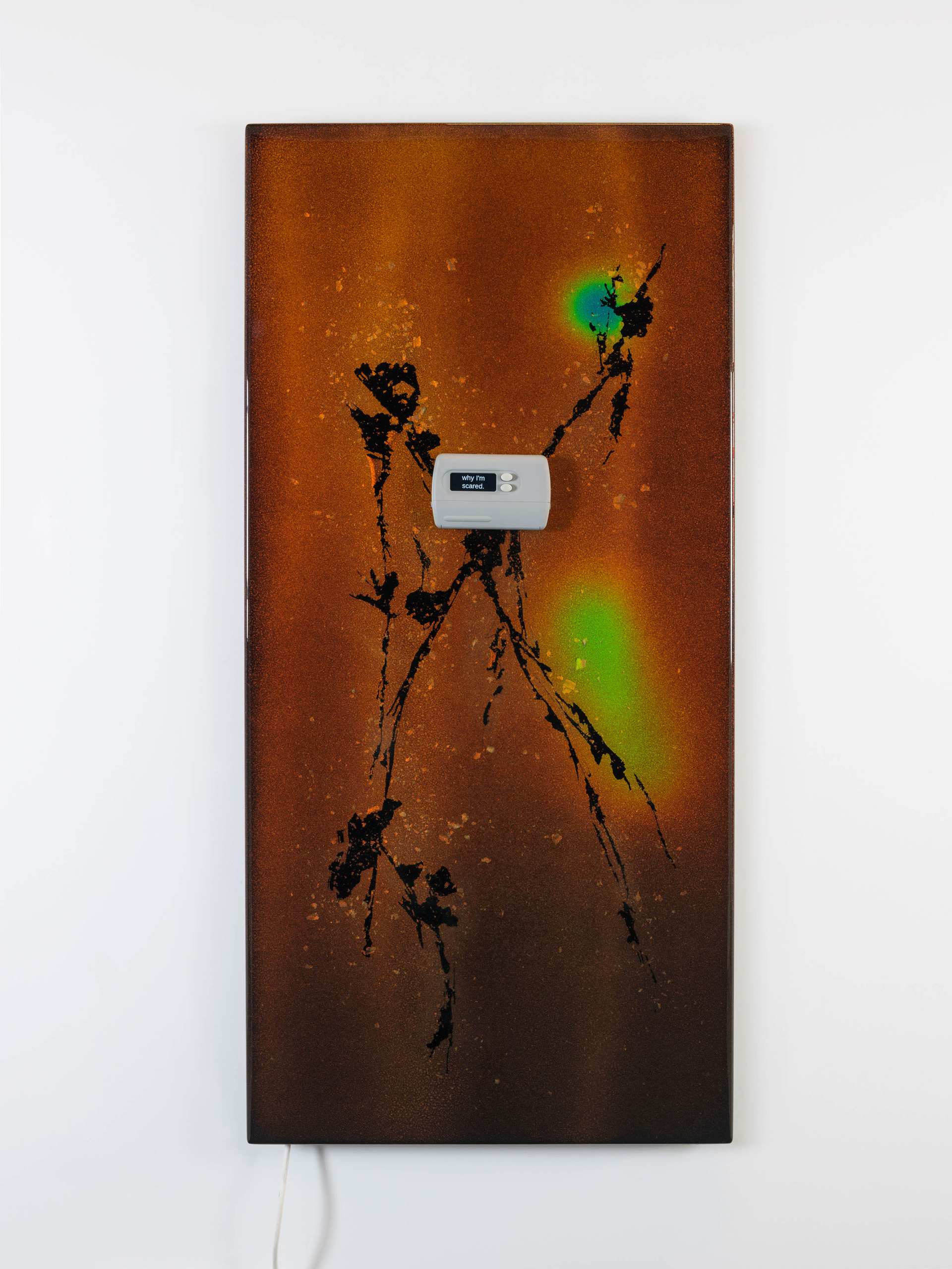 How do I survive? (a steady host)