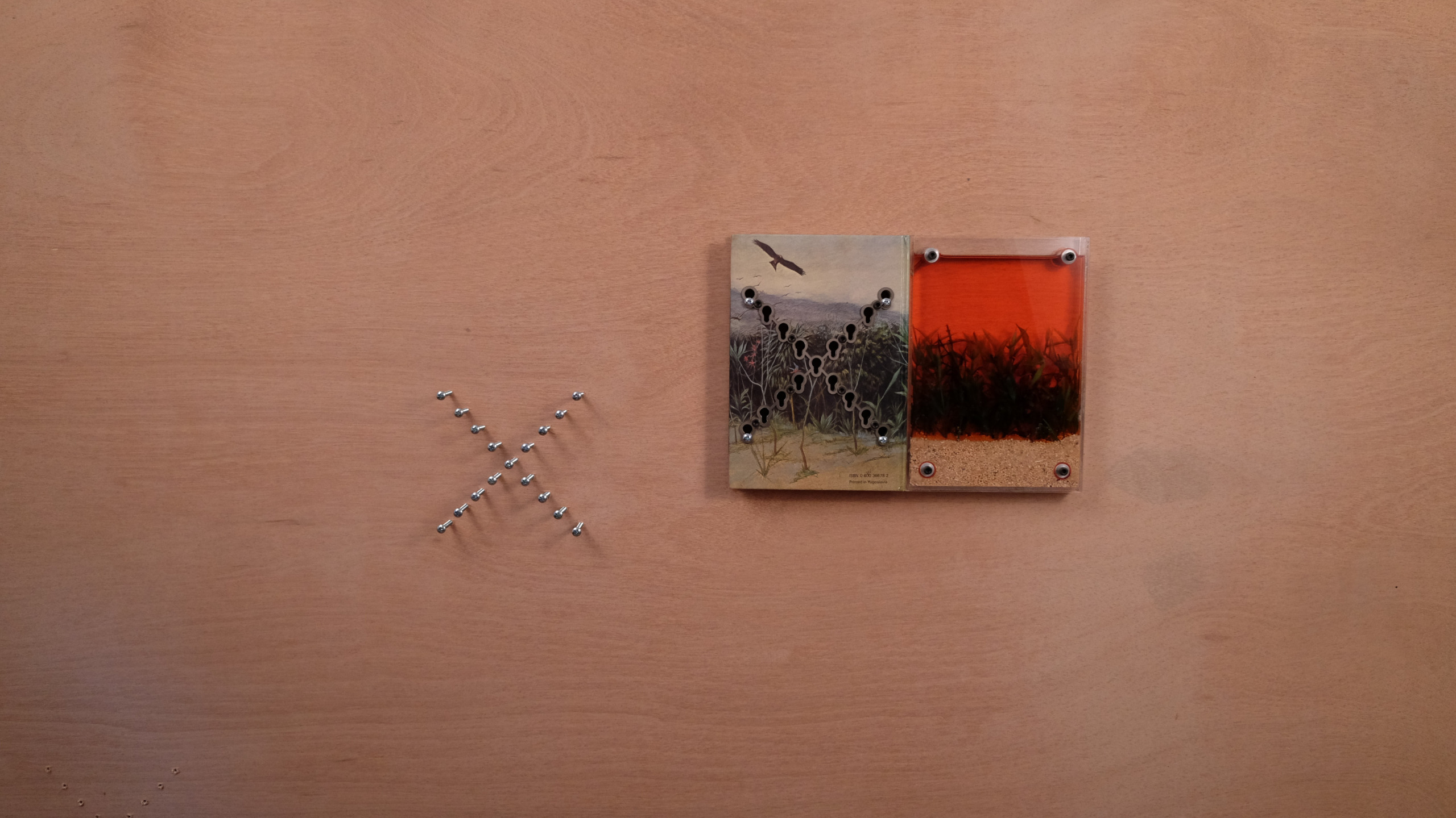 Straight X After Red Tank