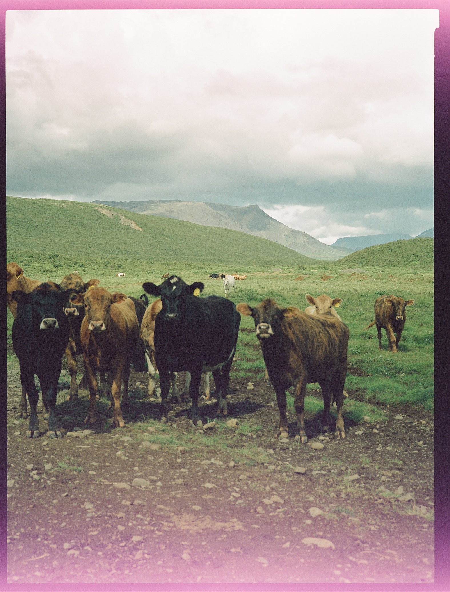 ウルティマ・トゥーレ