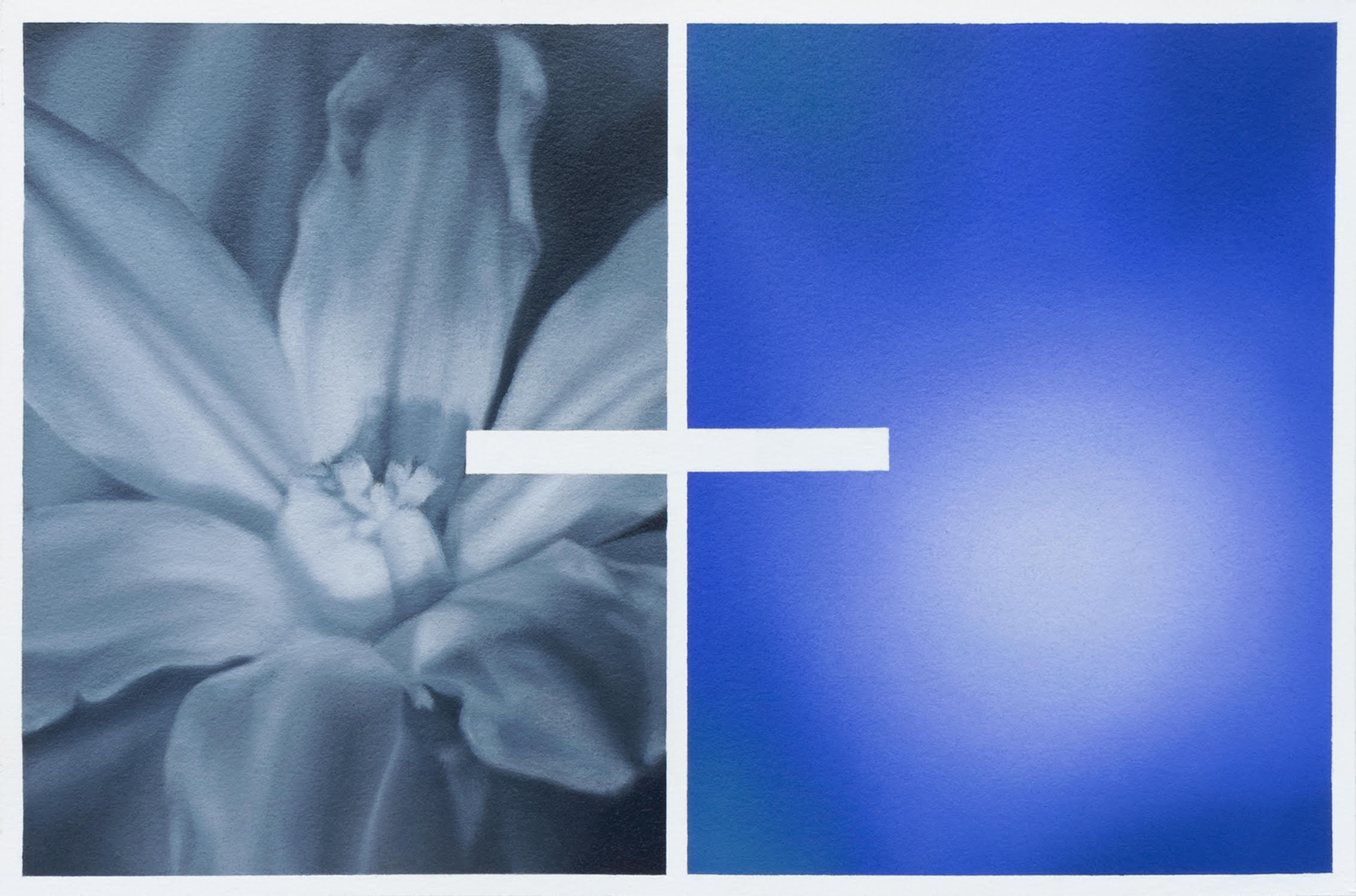 Flor venenosa #9 – Blue Giant